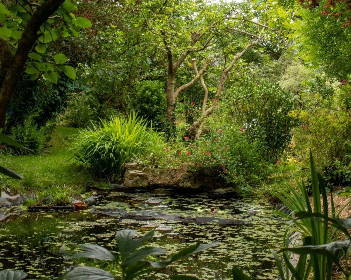 Une Suite Au Jardin Hyenville Esterno foto